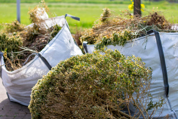 Best Dumpster Rental Services  in Oak Grove, LA